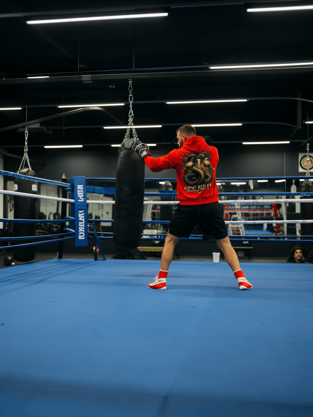 College Hoodie Boxen | Ring Ruler Bild 2 Knockout Collection Boxsport