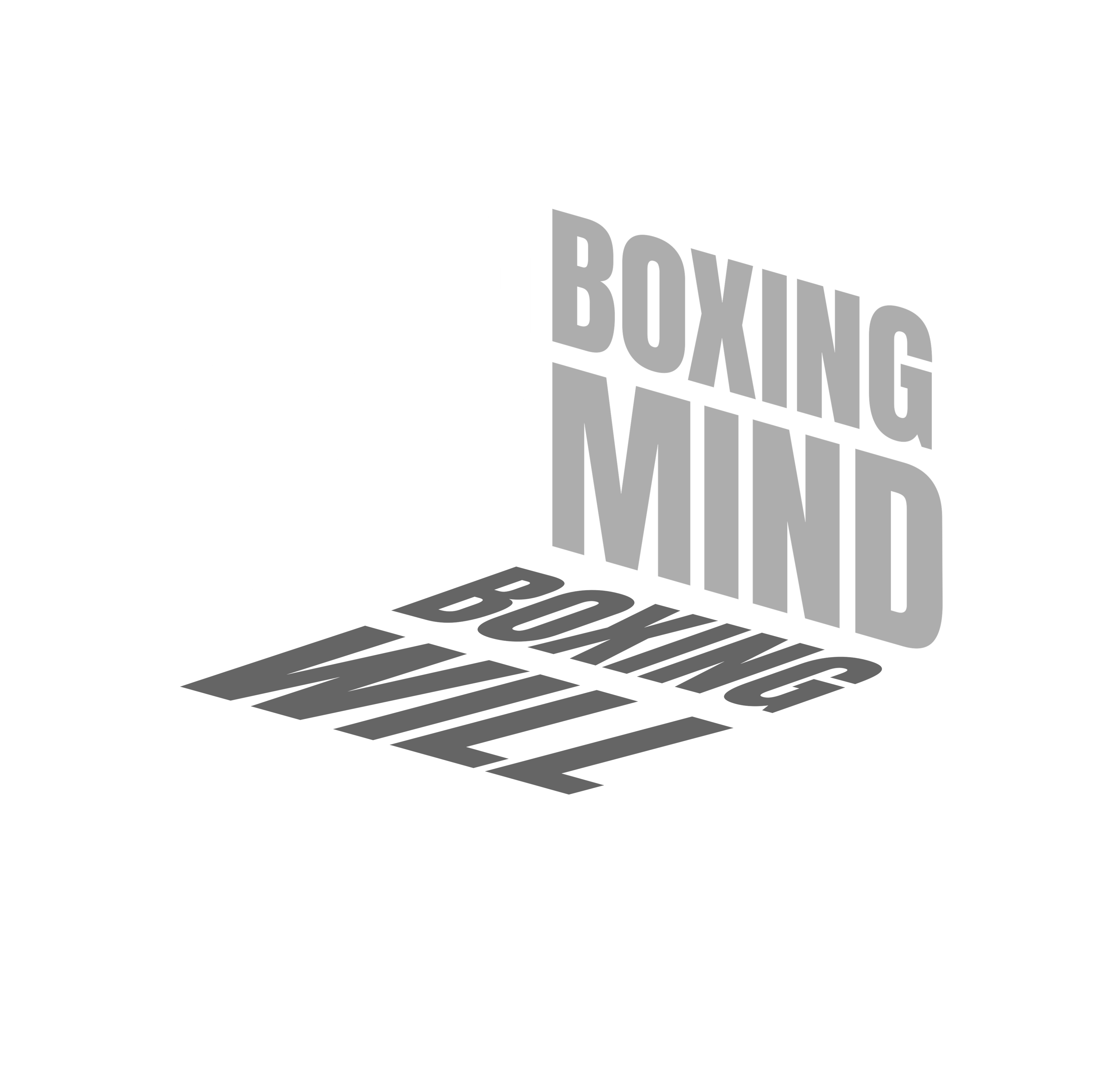 Trainings Shorts | Boxing Mind